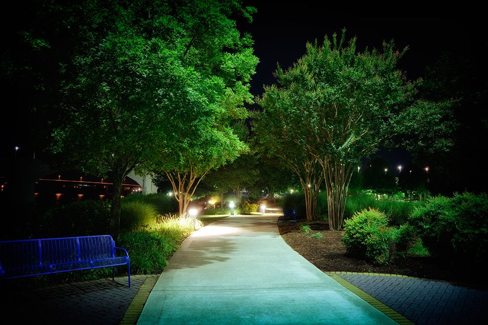 Coolidge Night Path art print by Rachel Lee for $57.95 CAD