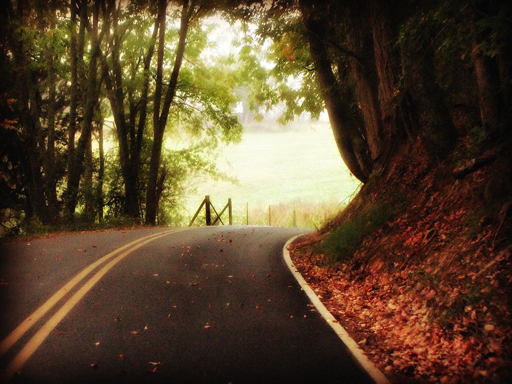 Country Road 10 art print by Rachel Lee for $57.95 CAD