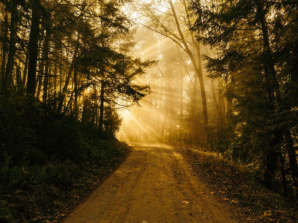Country Road 11 art print by Rachel Lee for $57.95 CAD