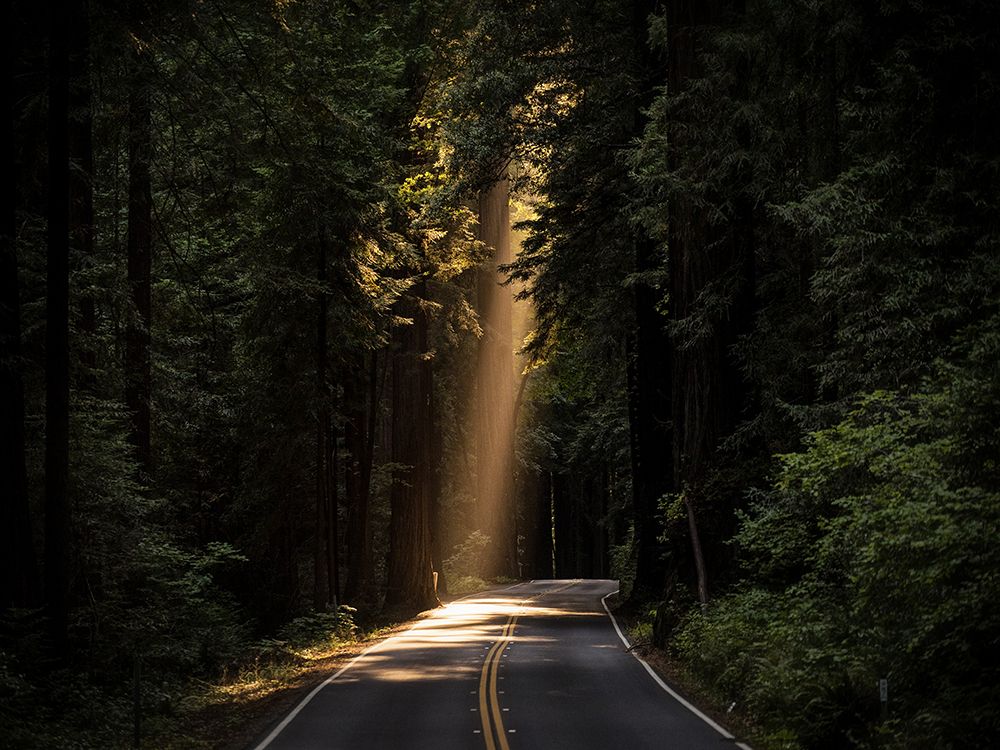 Country Road 15 art print by Rachel Lee for $57.95 CAD