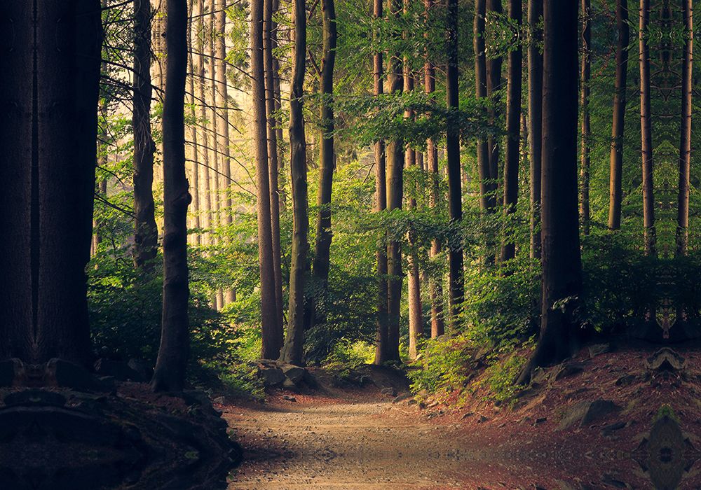 Country Road 18 art print by Rachel Lee for $57.95 CAD