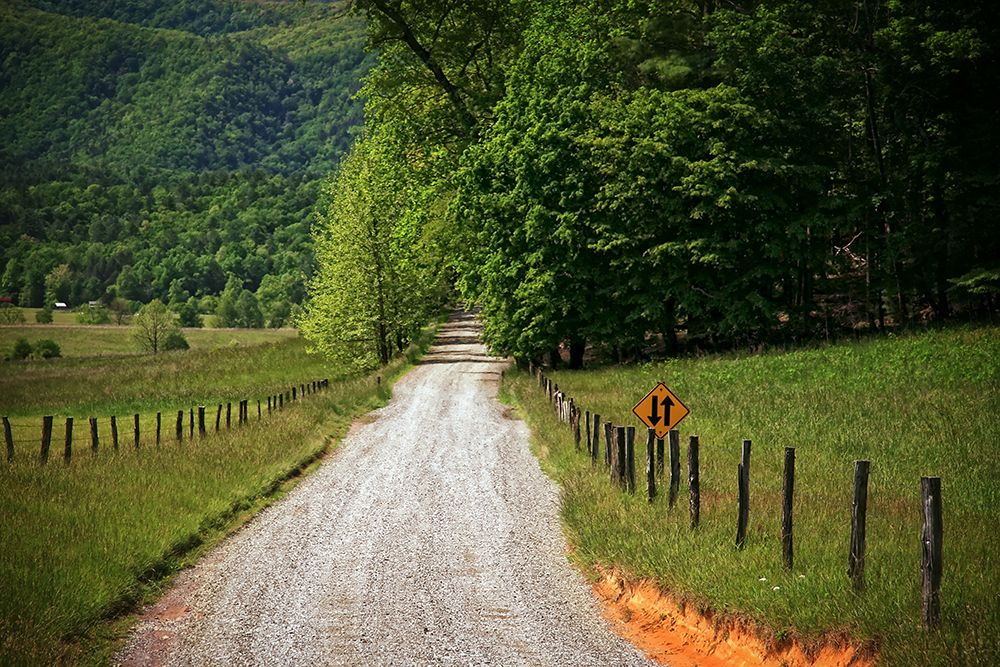 Country Road 2 art print by Rachel Lee for $57.95 CAD