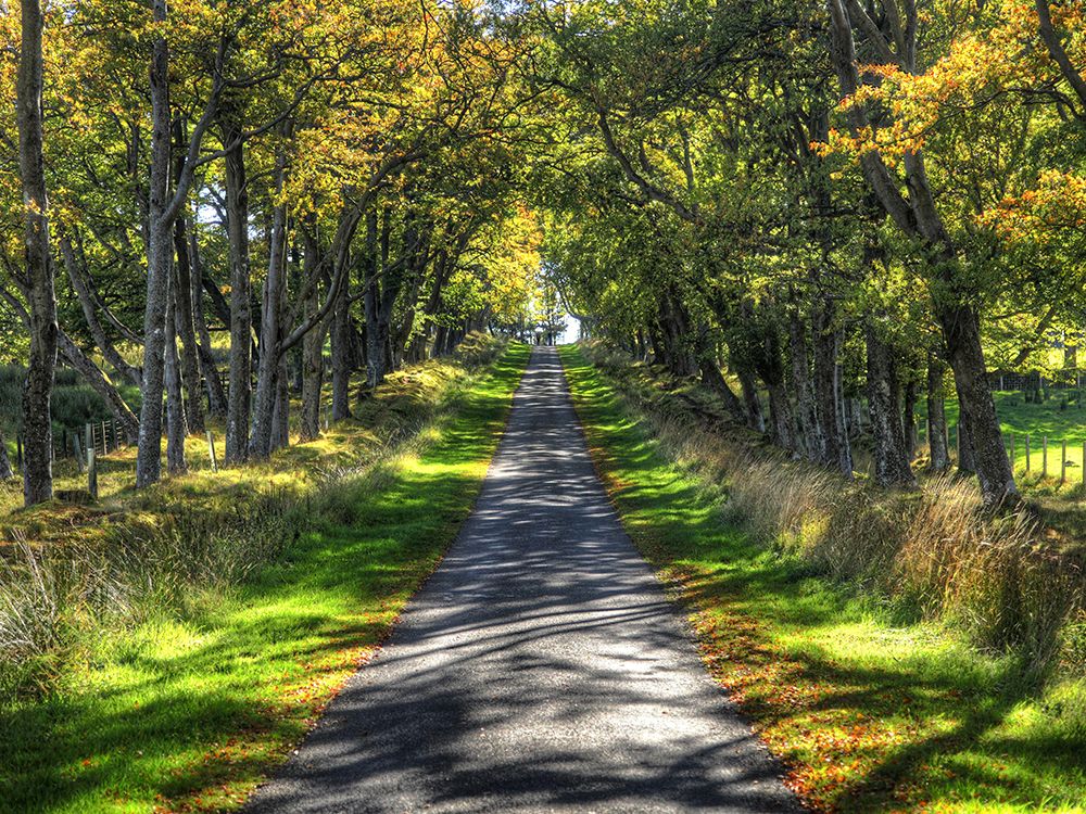 Country Road 21 art print by Rachel Lee for $57.95 CAD