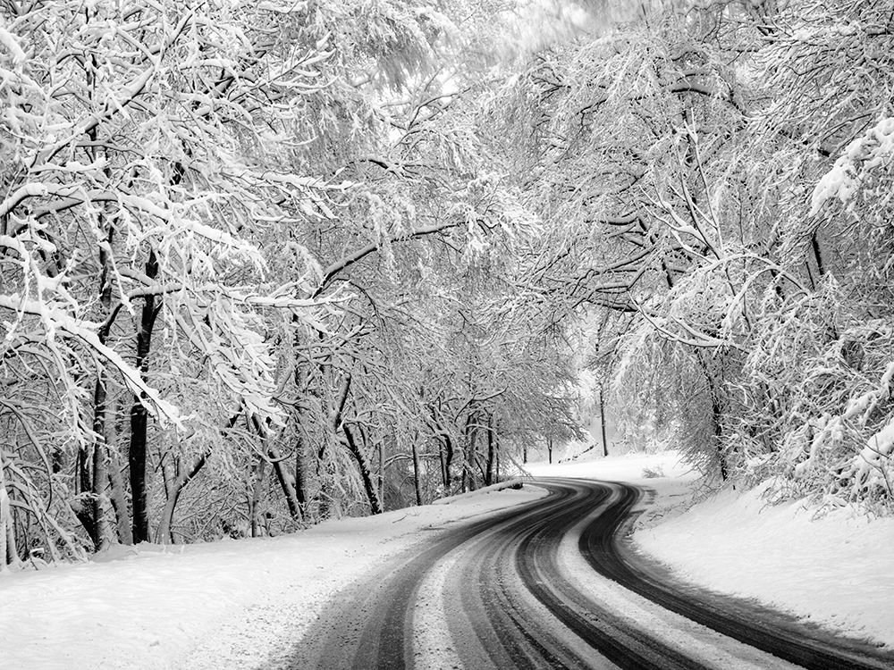 Country Road 23 art print by Rachel Lee for $57.95 CAD