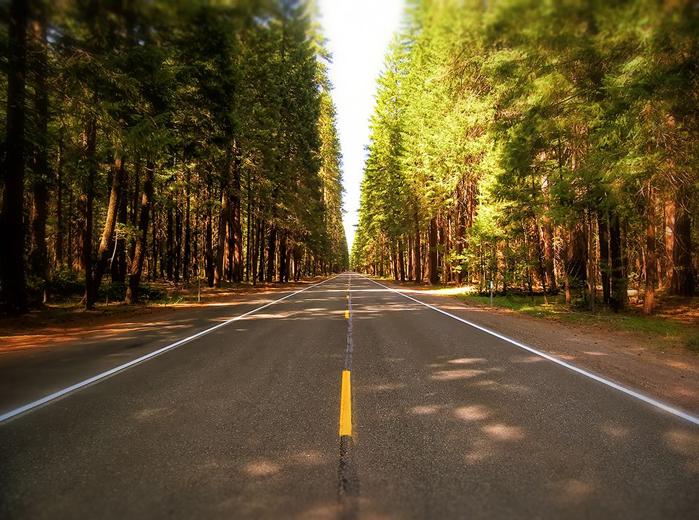 Country Road 3 art print by Rachel Lee for $57.95 CAD