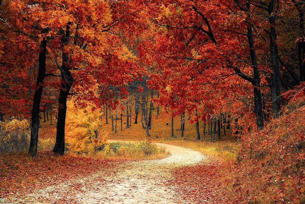 Country Road 9 art print by Rachel Lee for $57.95 CAD