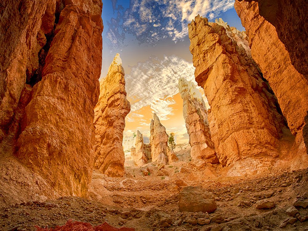 Desert 1 art print by Rachel Lee for $57.95 CAD