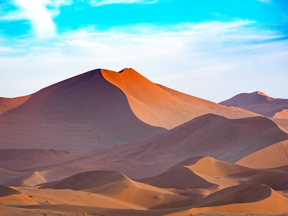 Desert 2 art print by Rachel Lee for $57.95 CAD