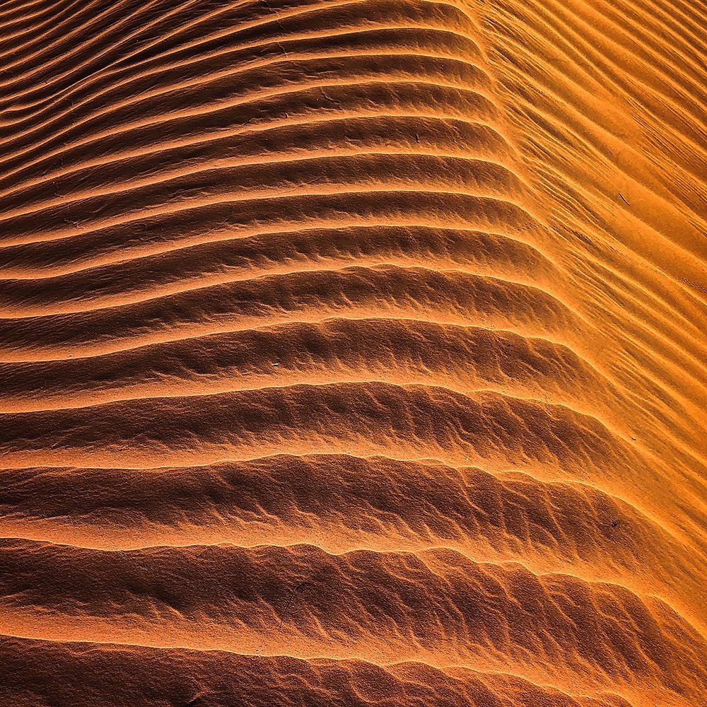 Desert 3 art print by Rachel Lee for $57.95 CAD