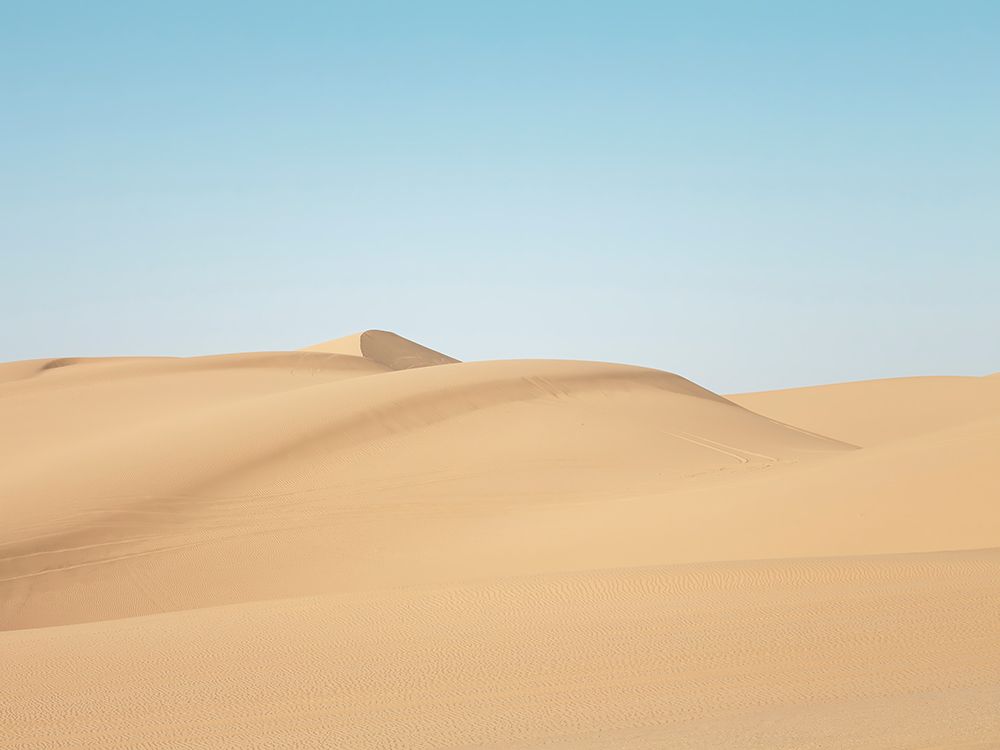 Desert 4 art print by Rachel Lee for $57.95 CAD