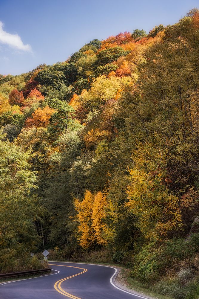Fall Bend art print by Rachel Lee for $57.95 CAD
