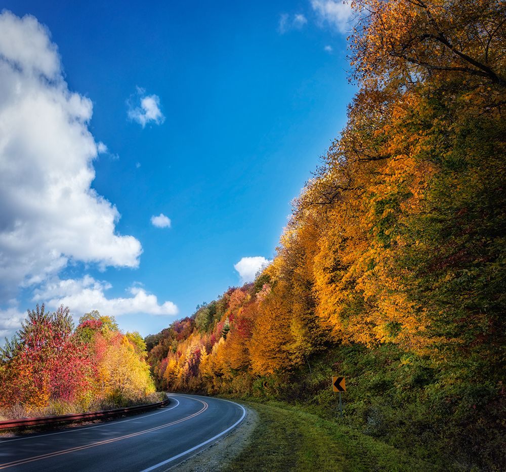 Fall Curve art print by Rachel Lee for $57.95 CAD