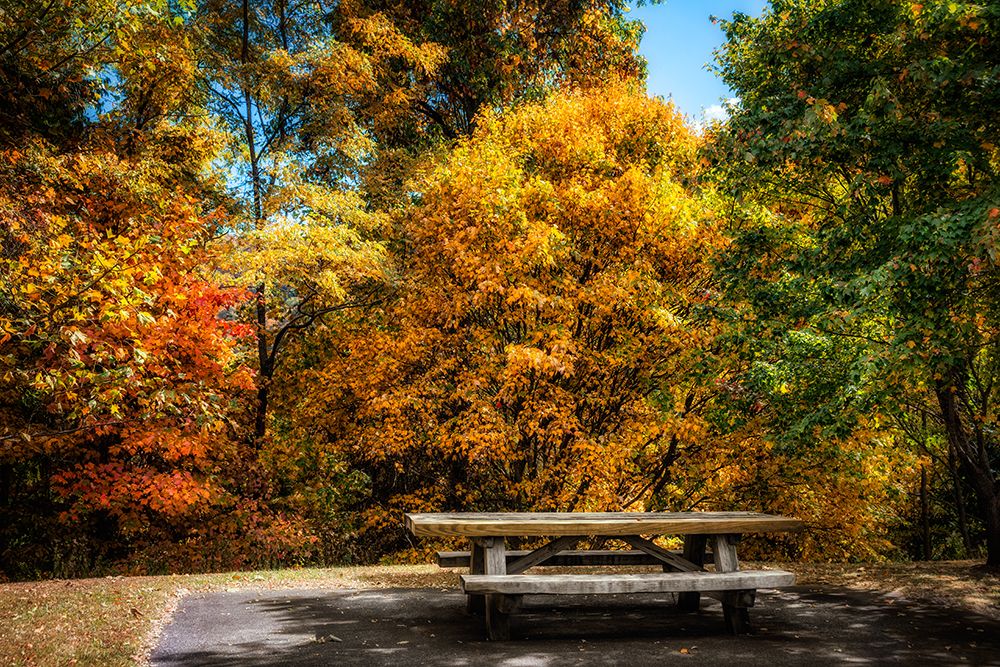 Fall Picnic art print by Rachel Lee for $57.95 CAD
