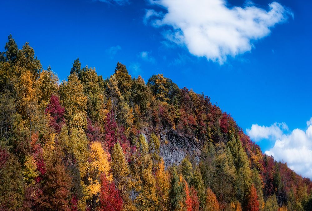 Fall Ridge art print by Rachel Lee for $57.95 CAD