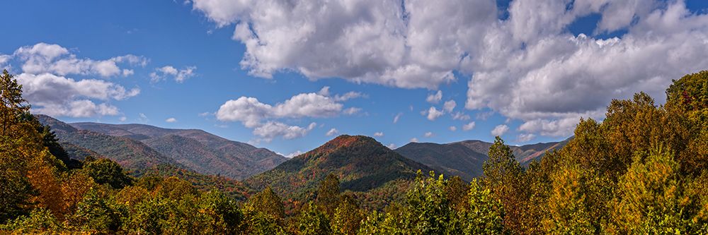 Fall Vista art print by Rachel Lee for $57.95 CAD