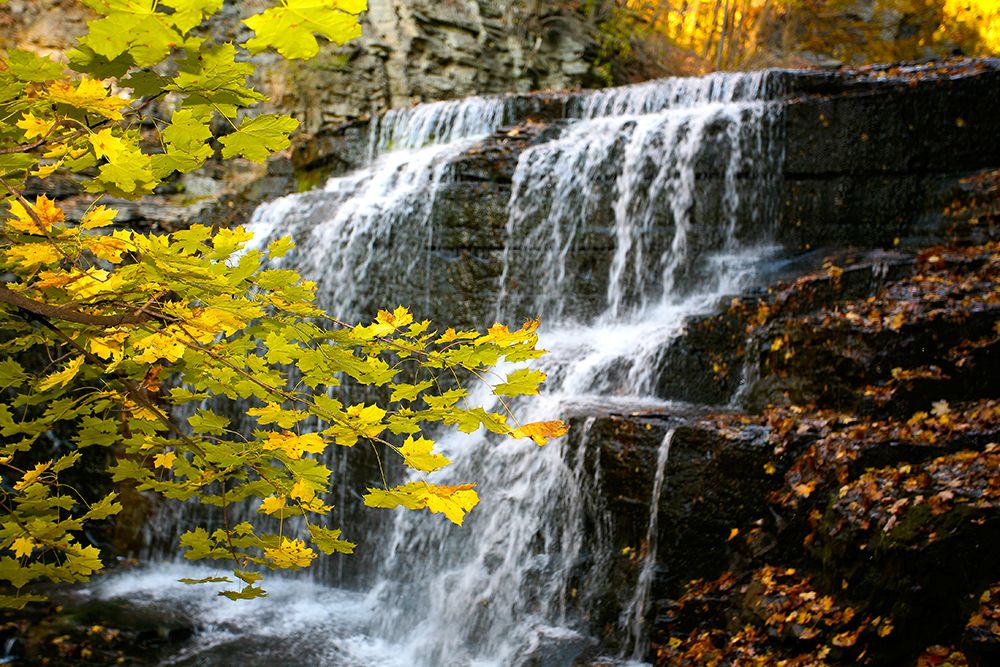 Fall Waterfall art print by Rachel Lee for $57.95 CAD