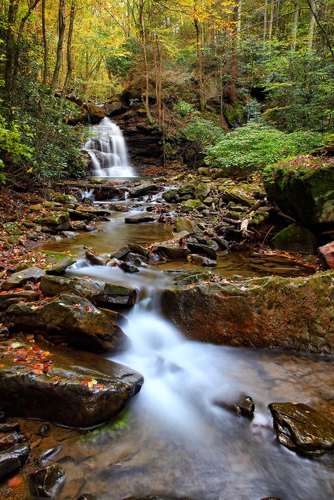 Falls 1 art print by Rachel Lee for $57.95 CAD