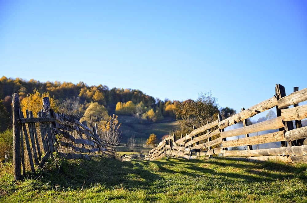 Fence 1 art print by Rachel Lee for $57.95 CAD