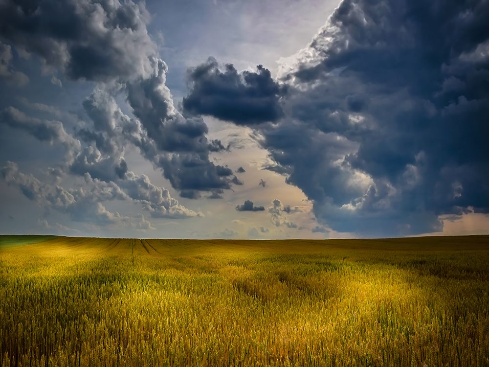 Field 21 art print by Rachel Lee for $57.95 CAD