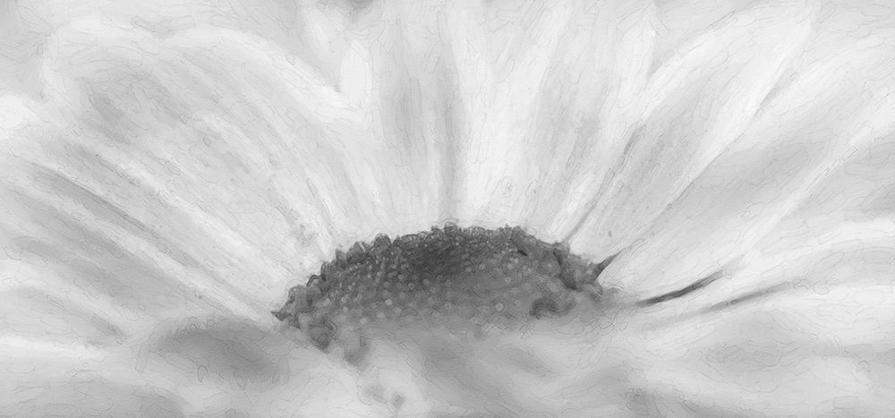 Flower 68 Grayscale Watercolor art print by Rachel Lee for $57.95 CAD