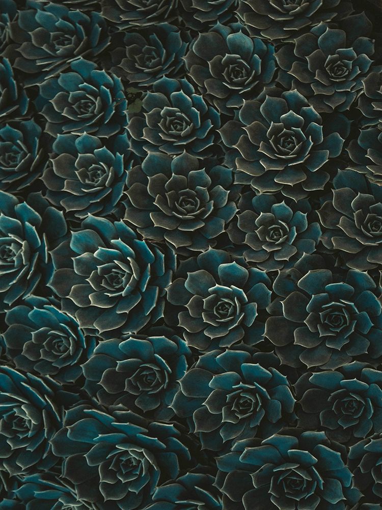 Flower 82 art print by Rachel Lee for $57.95 CAD