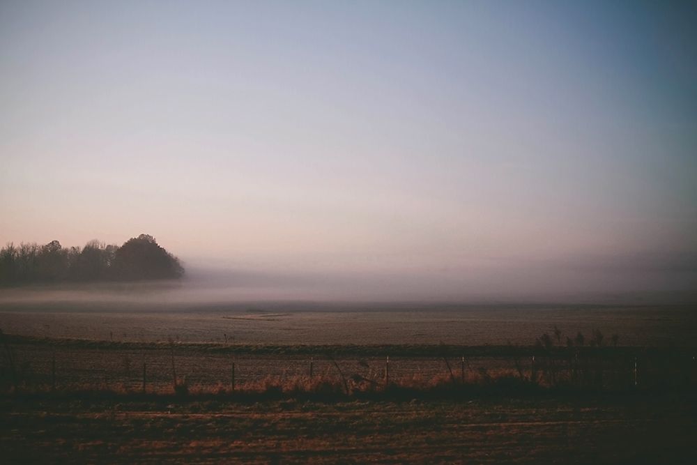 Foggy Field art print by Rachel Lee for $57.95 CAD