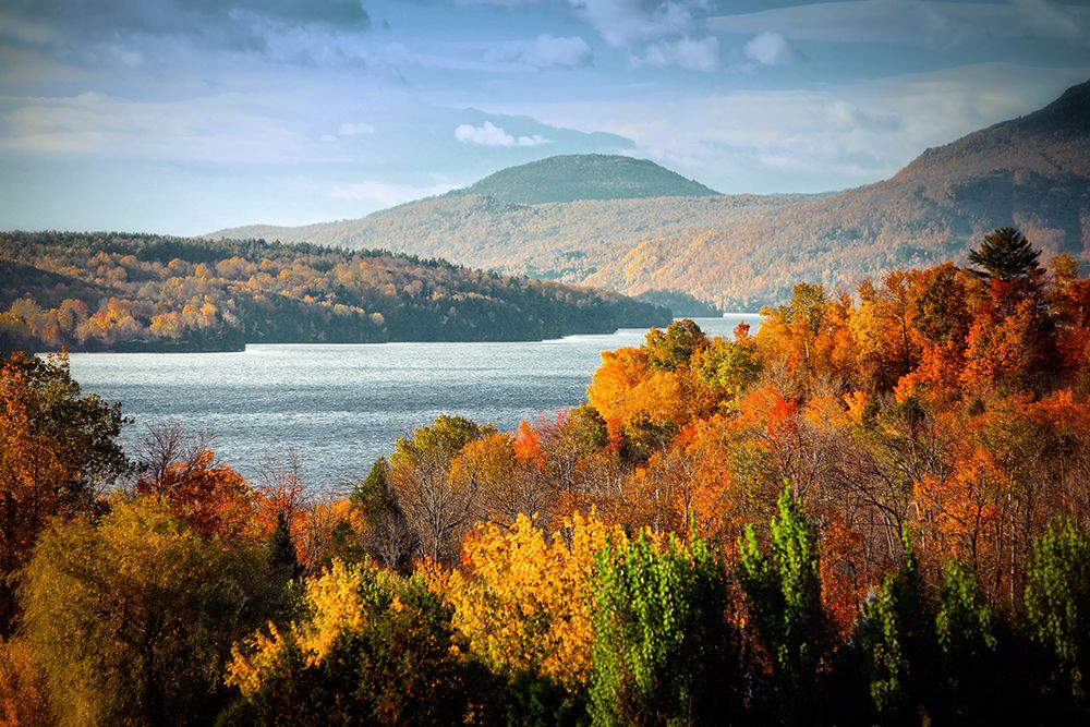 Forest Lake art print by Rachel Lee for $57.95 CAD