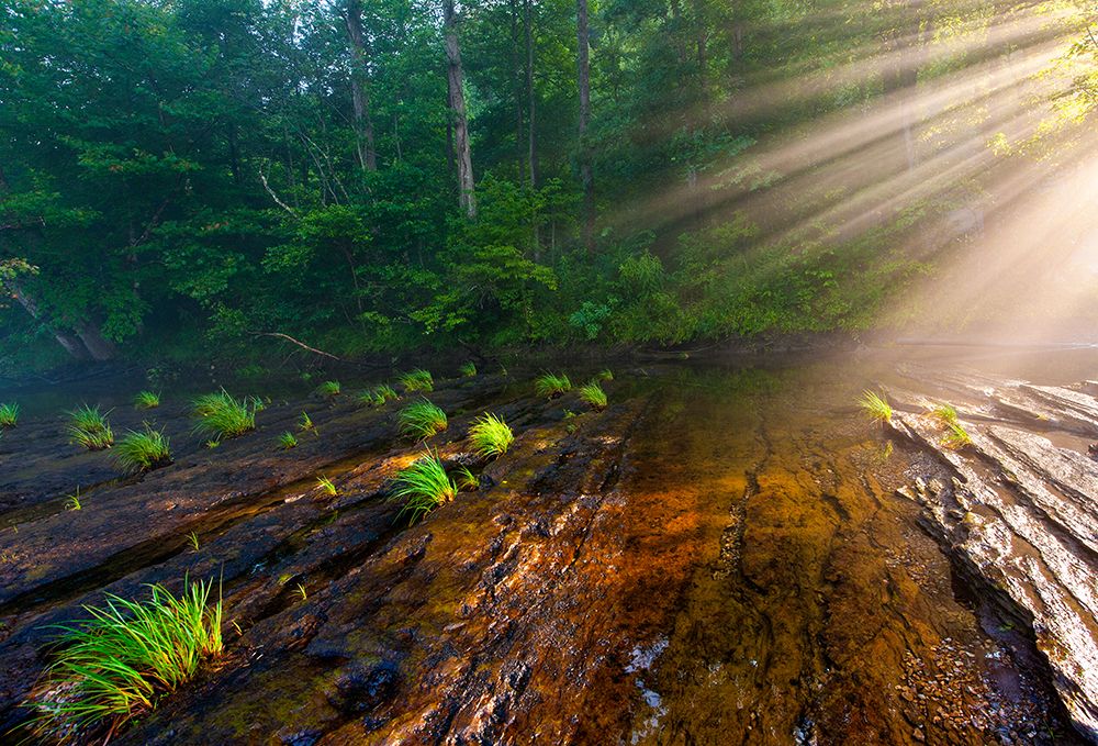 Hiwassee Morning Rays art print by Rachel Lee for $57.95 CAD