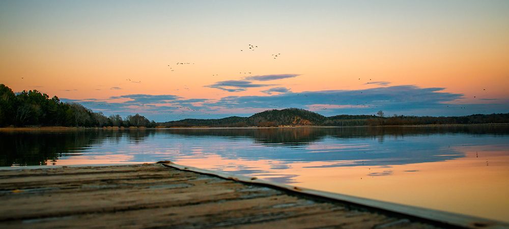 Hiwassee Refuge 5 art print by Rachel Lee for $57.95 CAD