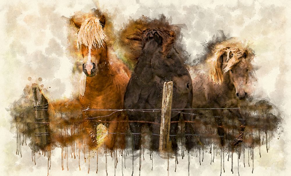 Horse 2 Watercolor art print by Rachel Lee for $57.95 CAD
