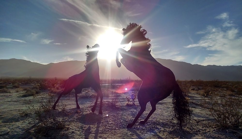 Horse 3 art print by Rachel Lee for $57.95 CAD