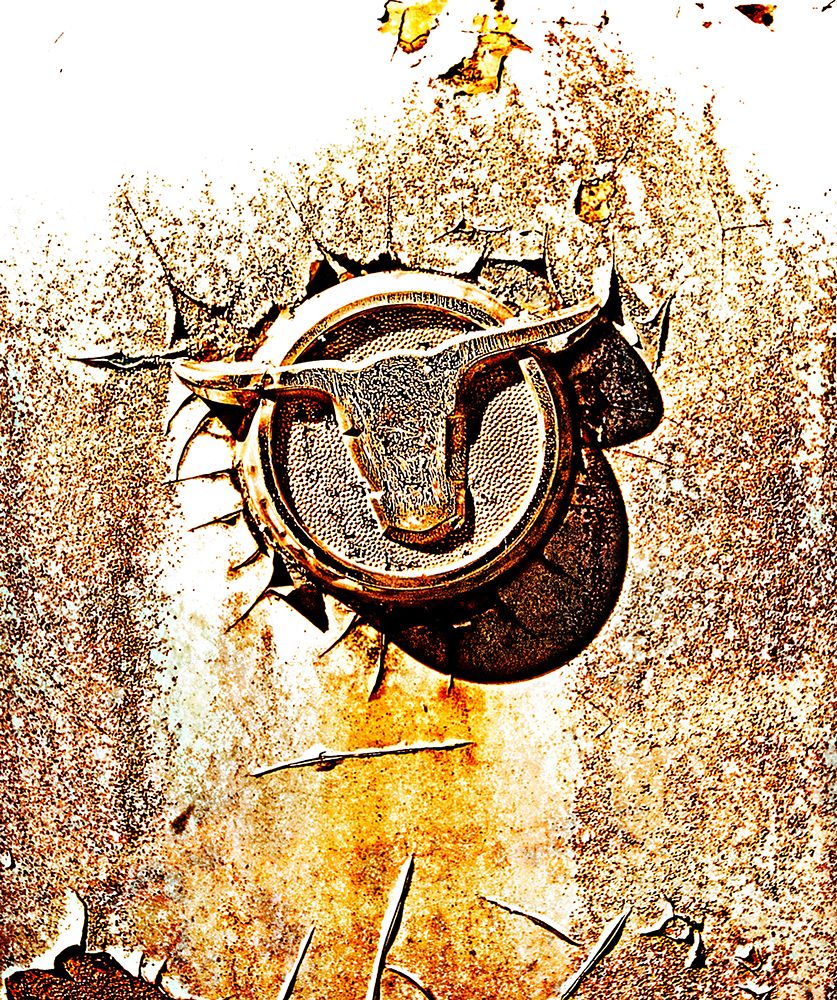Longhorn art print by Rachel Lee for $57.95 CAD
