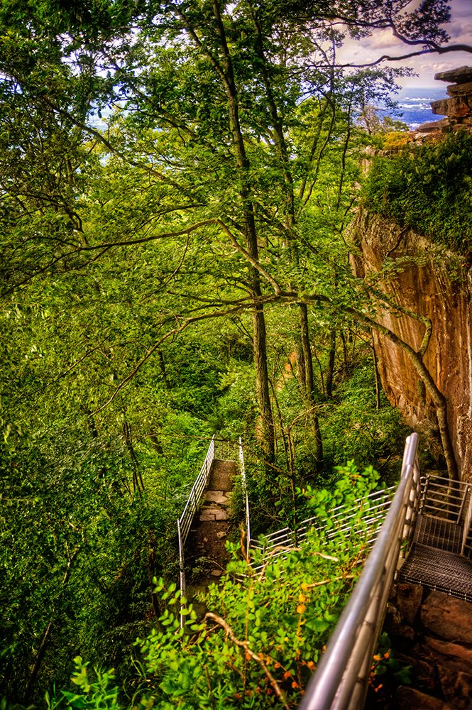Lookout Trail Stairs art print by Rachel Lee for $57.95 CAD