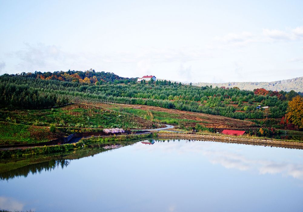 Merciers Orchard art print by Rachel Lee for $57.95 CAD