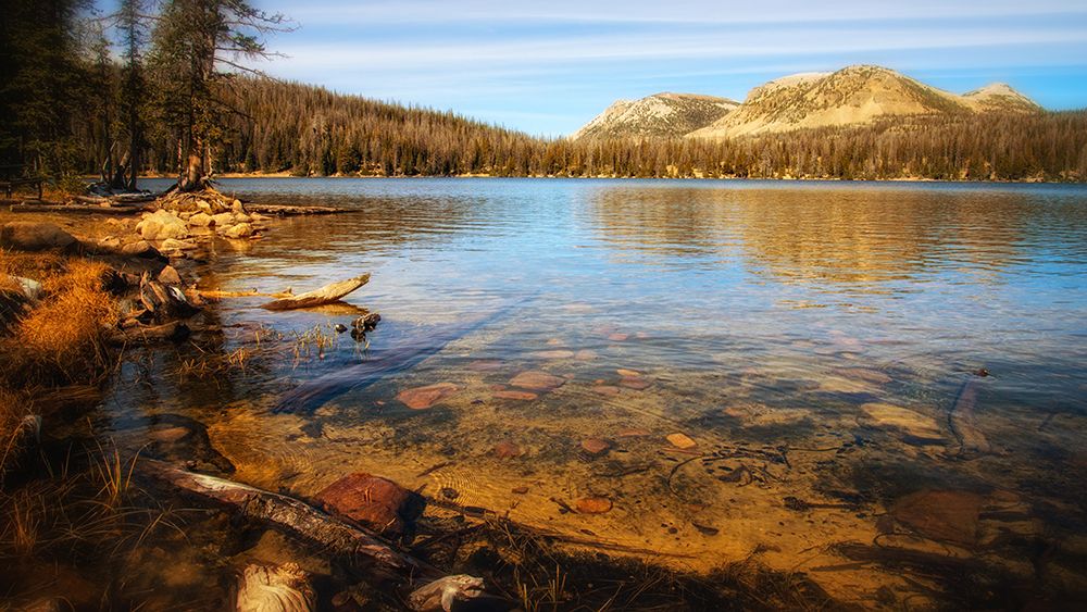 Mountain Lake 4 art print by Rachel Lee for $57.95 CAD