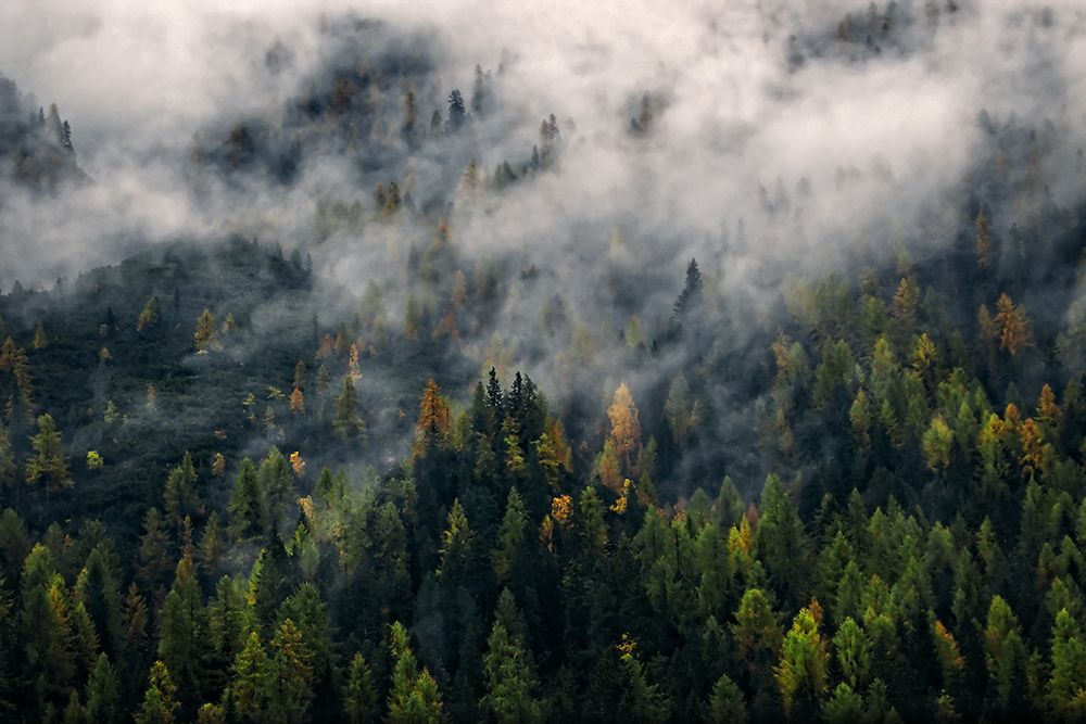 Mountain View 11 art print by Rachel Lee for $57.95 CAD
