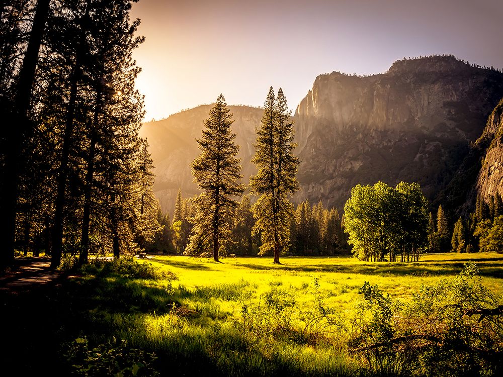 Mountain View 42 art print by Rachel Lee for $57.95 CAD