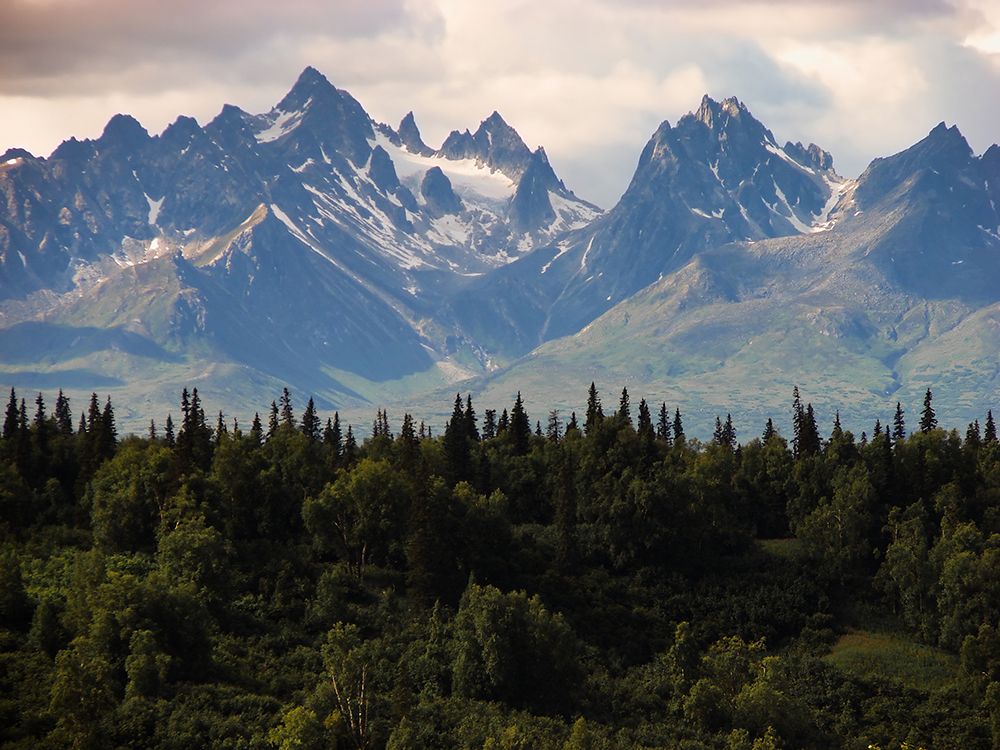 Mountain View 44 art print by Rachel Lee for $57.95 CAD
