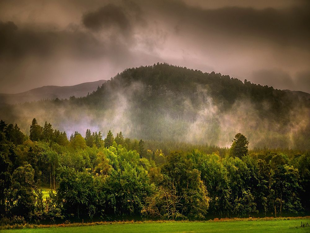 Mountain View 66 art print by Rachel Lee for $57.95 CAD