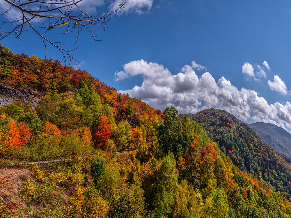 NC Fall Mountains 6 art print by Rachel Lee for $57.95 CAD