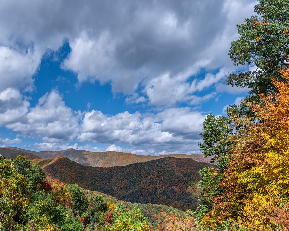 NC Fall Mountains 7 art print by Rachel Lee for $57.95 CAD