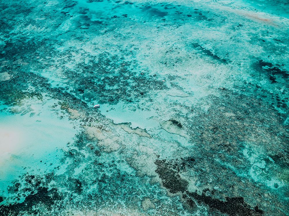 Ocean 58 art print by Rachel Lee for $57.95 CAD