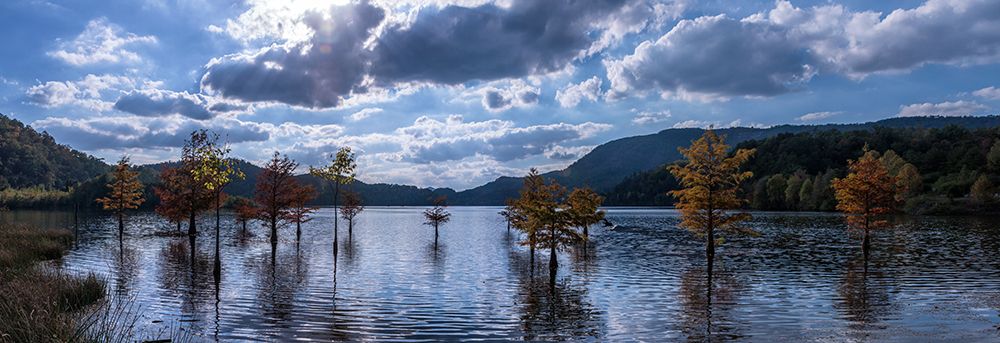 Ocoee Lake Pano art print by Rachel Lee for $57.95 CAD