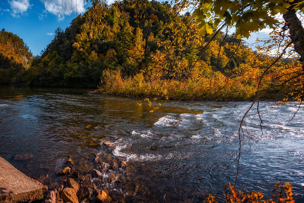 Ocoee River 1 art print by Rachel Lee for $57.95 CAD