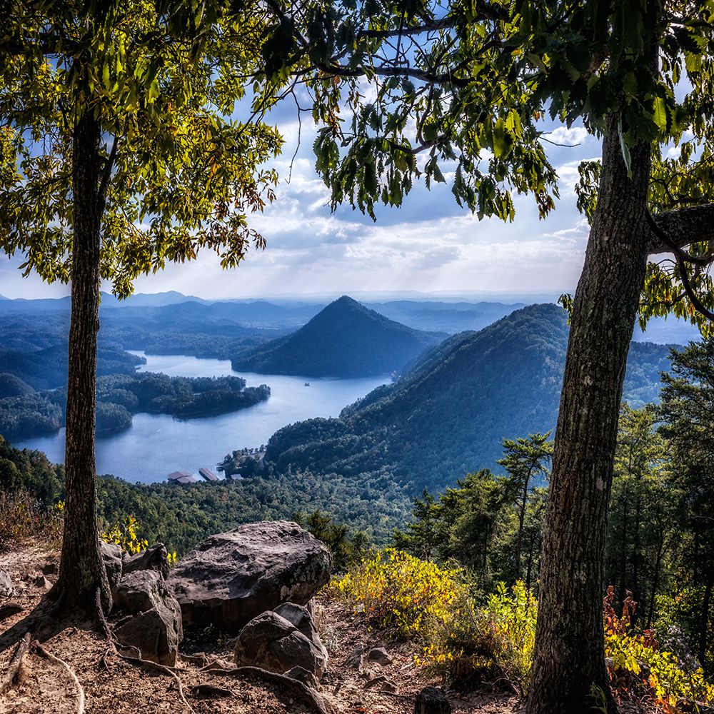 Ocoee View art print by Rachel Lee for $57.95 CAD