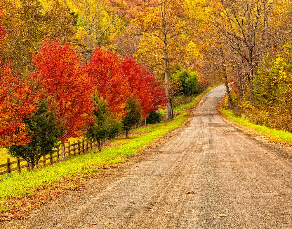 Old Country Road art print by Rachel Lee for $57.95 CAD