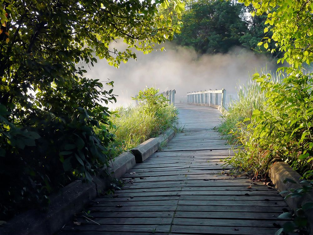 Pathway 3 art print by Rachel Lee for $57.95 CAD