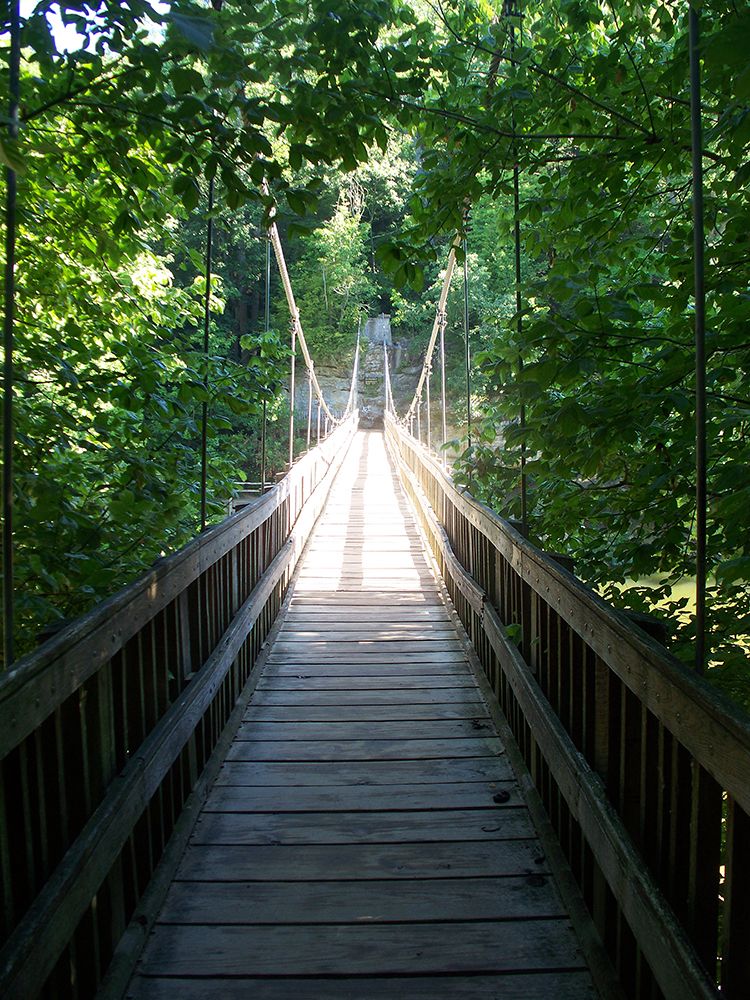 Pathway 6 art print by Rachel Lee for $57.95 CAD