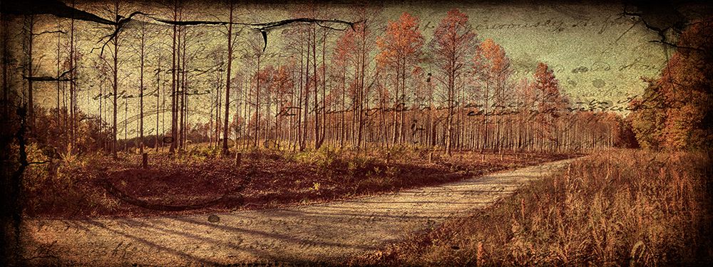 Prentice Road Pano Vintage art print by Rachel Lee for $57.95 CAD