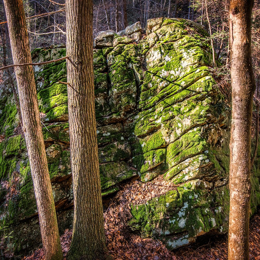 Rocks 4 art print by Rachel Lee for $57.95 CAD